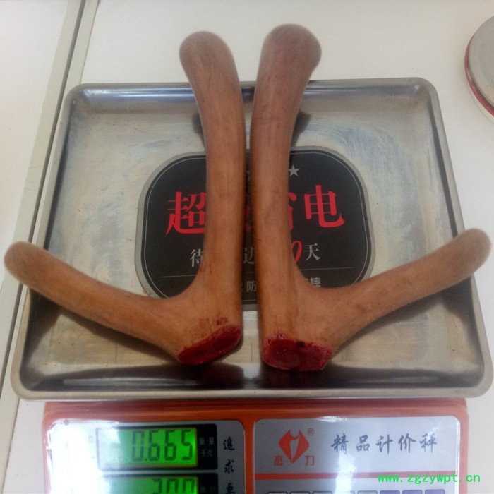 西洋参鹿茸新鲜整枝鹿茸鹿茸泡酒图2