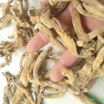 求购玉竹下脚料 到湖南产地    厂家供应玉竹下脚料