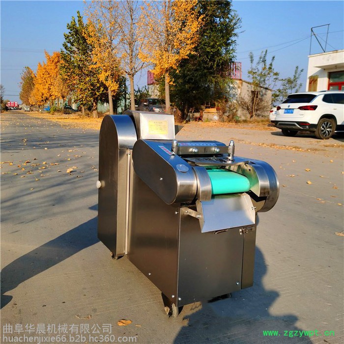 玉竹切片机  HC-QCJ芦荟切丁机  华晨海参切丝机图6