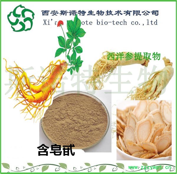 西洋参提取物 西洋参皂甙8%-12% 西洋参速溶粉 西洋参提取物图3