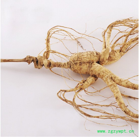 山参玉竹草菇全须生晒参林下参15年残枝图2