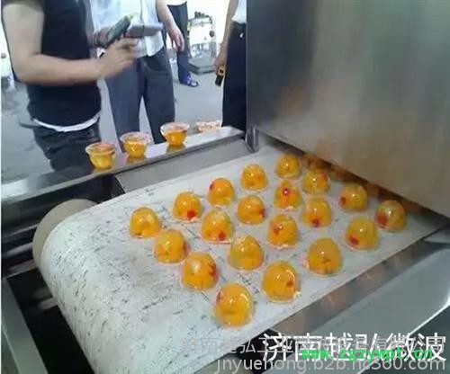 越弘YH-50kw西洋参微波杀菌设备图6