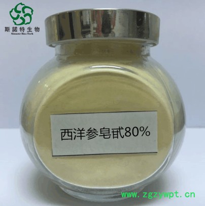 西洋参皂甙80%  西洋参提取物  现货库存  量大从优图4