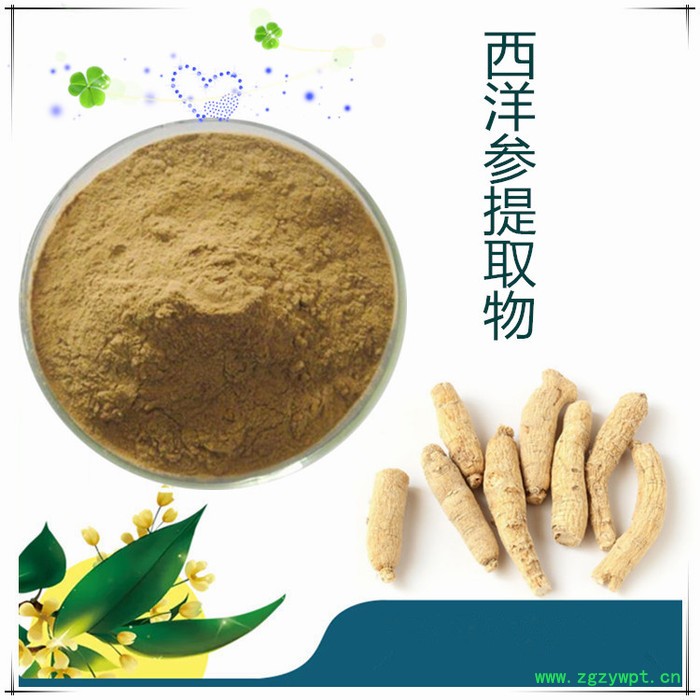 西洋参皂甙80%  西洋参提取物  现货库存  量大从优图5