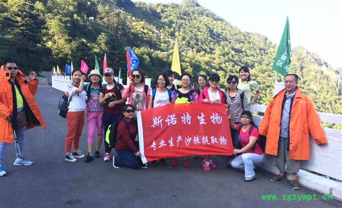 西洋参皂甙80%  西洋参提取物  现货库存  量大从优图6