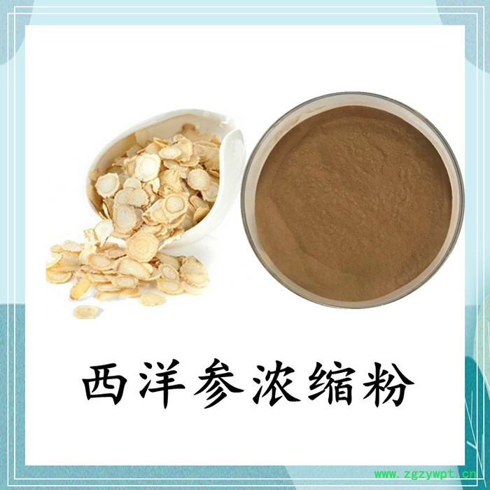 西洋参浓缩粉 斯诺特 可定制图2