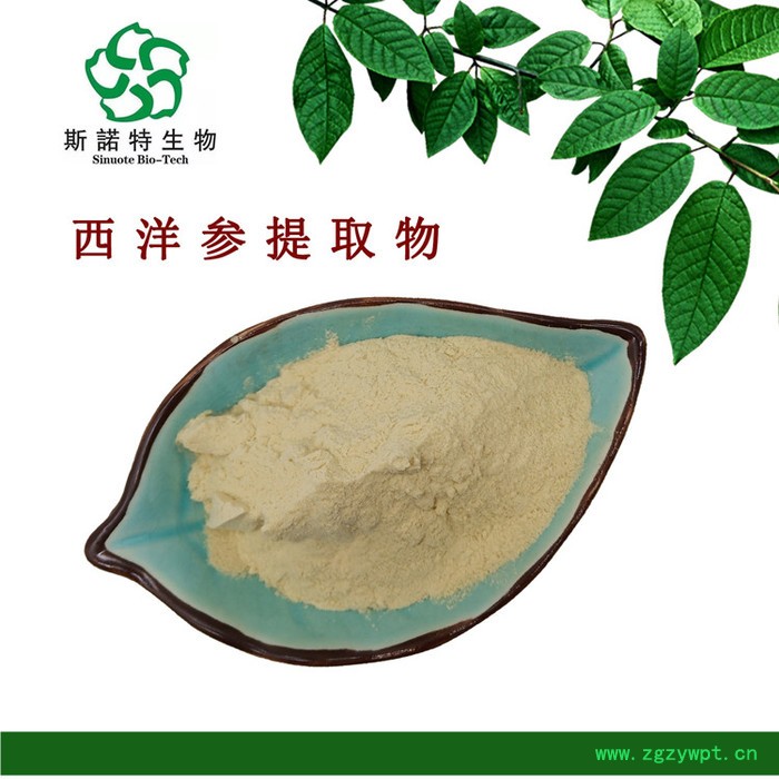 【实力工厂】西洋参提取物 西洋参粉 全水溶 批发零售 出厂价包邮图3