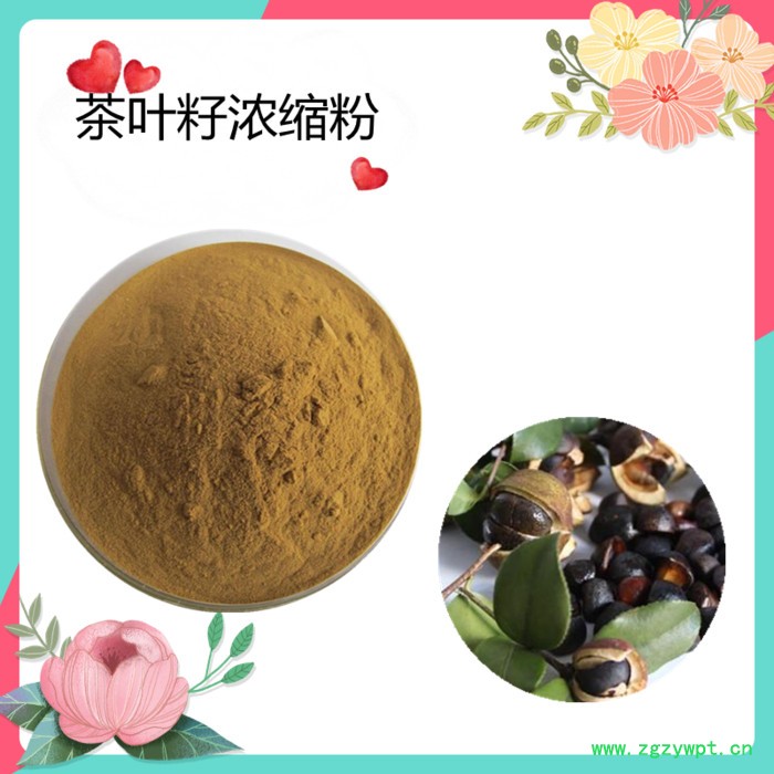 西洋参粉   水溶   可定制   斯诺特生物图3