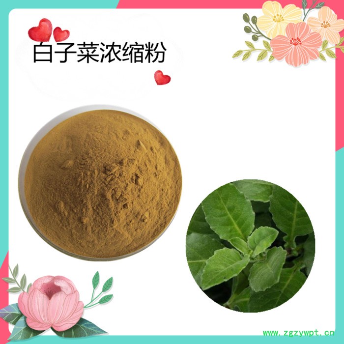 西洋参粉   水溶   可定制   斯诺特生物图4