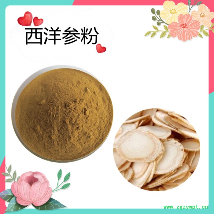 西洋参粉   水溶   可定制   斯诺特生物图2