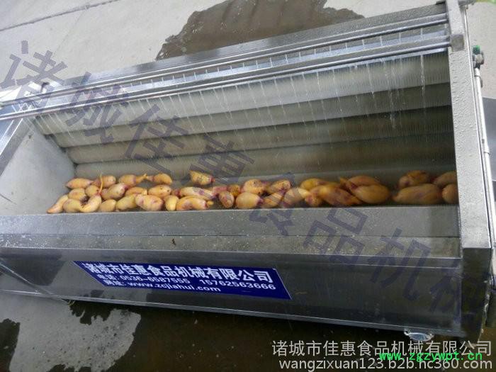 玉竹 锁阳清洗机 毛辊清洗设备报价图3