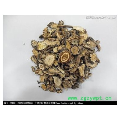 供应前胡提取物前胡提取物