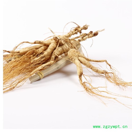 山参玉竹鸡汤移山参价钱林下参泡酒图3