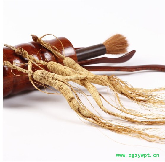 山参玉竹鸡汤移山参价钱林下参泡酒图2