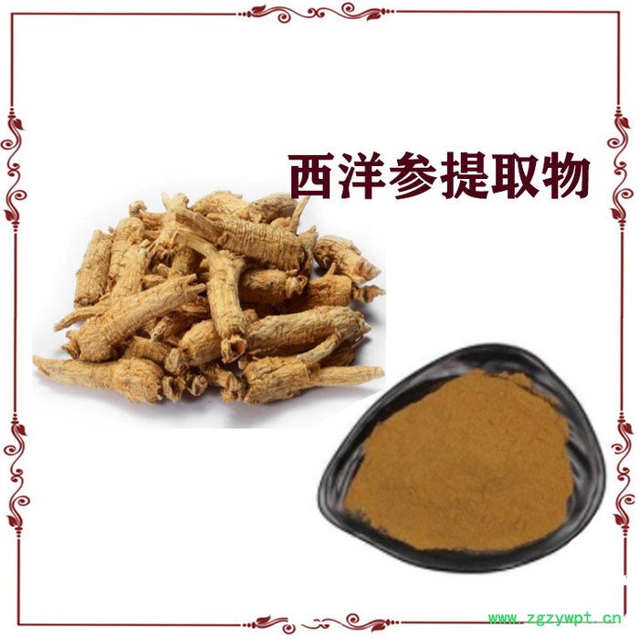 西洋参提取物 西洋参粉 西洋参皂甙图4