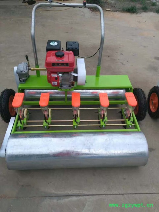 山西谷物精播 香菜菠菜精播机 重楼种子播种机图7