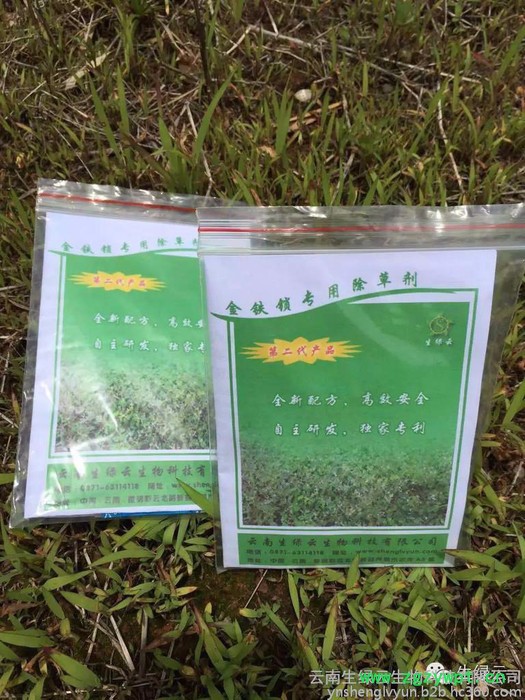 金铁锁除草剂、重楼、白芨、珠子参、金铁锁、重楼种子、白芨种子、珠子参种子、金铁锁种子、重楼种苗、白芨除草剂混剂图2