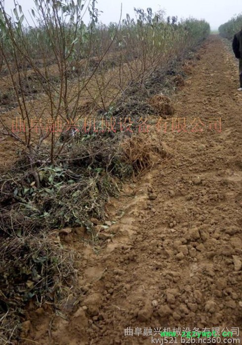 山东前胡收获机 前胡出药机直销供应图5