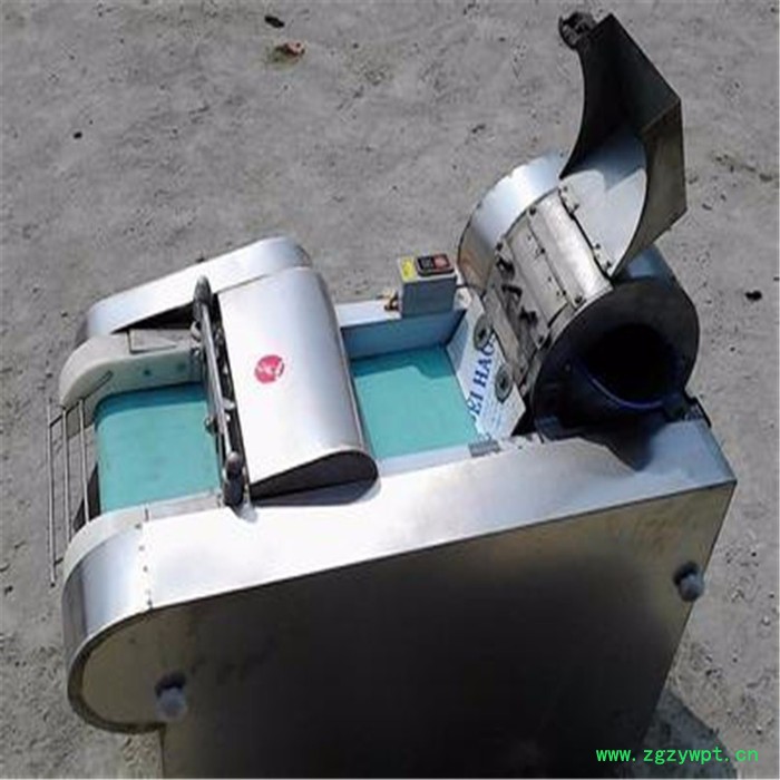 商用小型全自动中药材参茸西洋参灵芝人参切片机图3