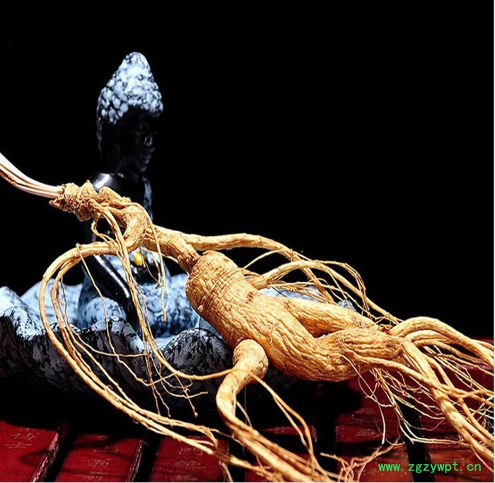 移山参西洋参生晒参片移参林下参野人参图3