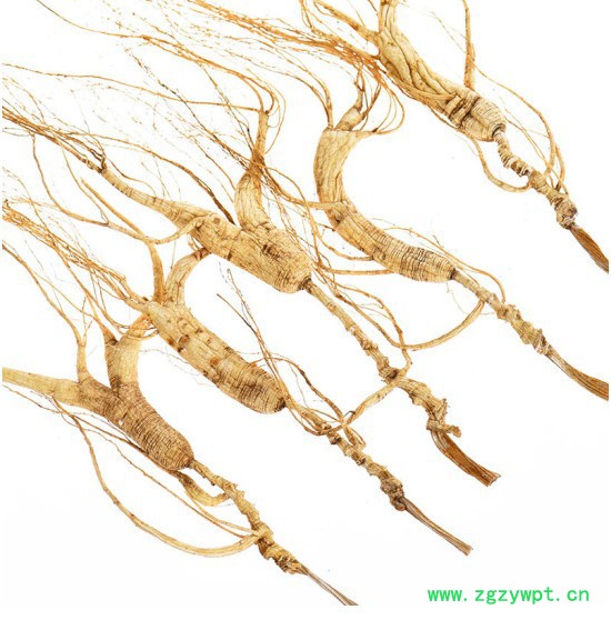移山参西洋参生晒参片移参林下参野人参图2