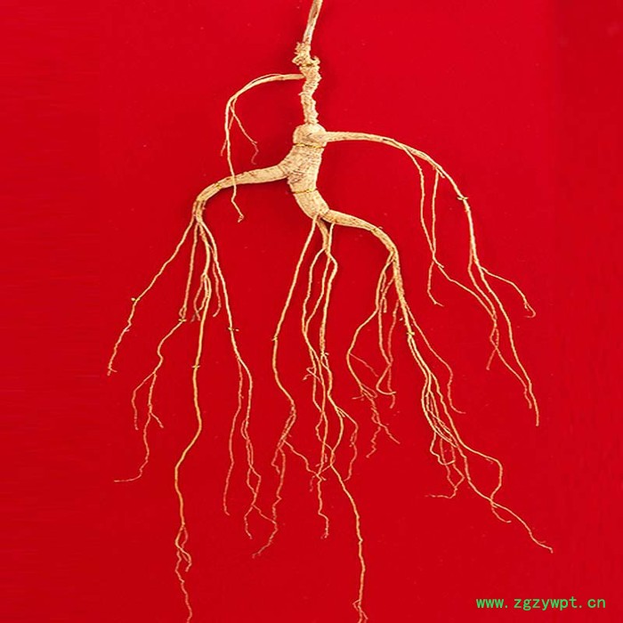 吉林人参礼盒参实木山参西洋参15年参产地货源整枝装山参长白山人参东北人参泡酒新鲜山参人叁泡酒林下鲜参送礼干活盒装包装送礼图2