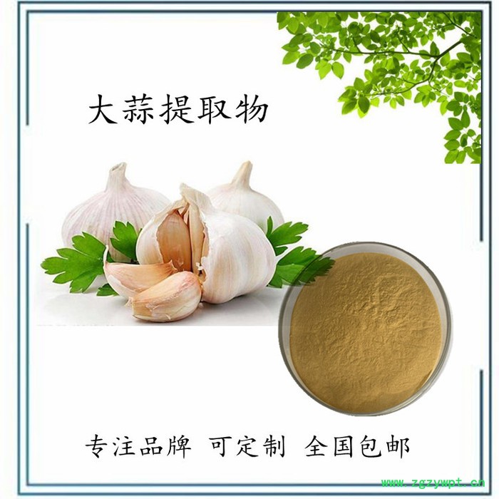 扶风斯诺特 葛根素60% 葛根粉   水溶 可定制图3