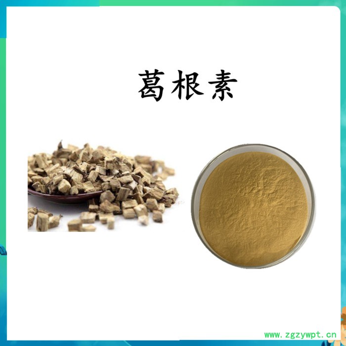 扶风斯诺特 葛根素60% 葛根粉   水溶 可定制图2