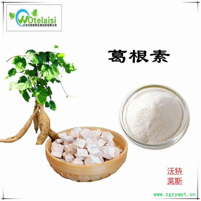 葛根多糖 20%沃特莱斯 葛根提取物10:1  葛根黄酮 葛根素图5