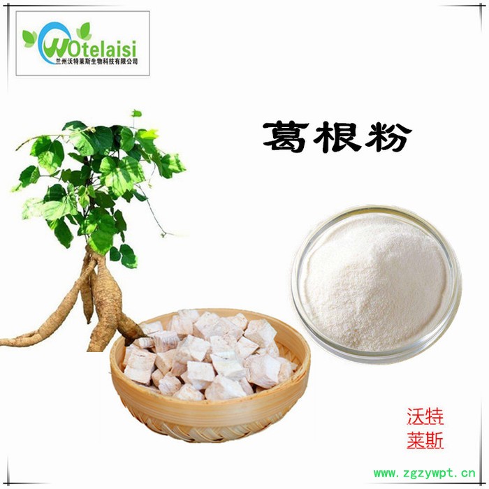 葛根多糖 20%沃特莱斯 葛根提取物10:1  葛根黄酮 葛根素图3