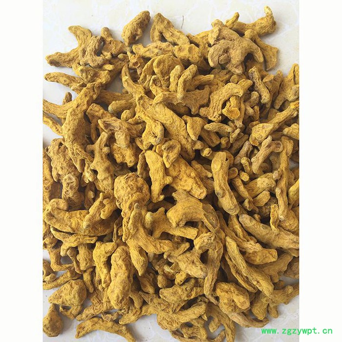 天盛四川姜黄图2