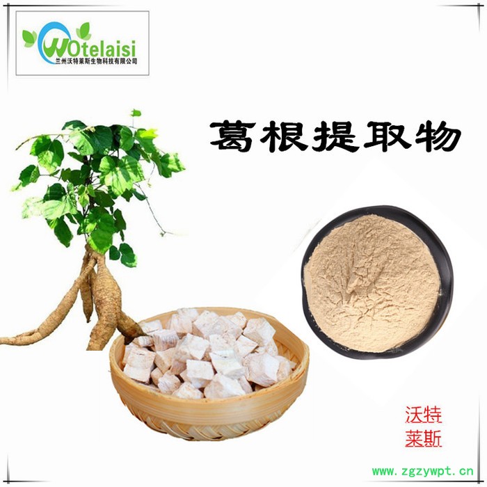 沃特莱斯 葛根提取物10:1  葛根黄酮 葛根素图4