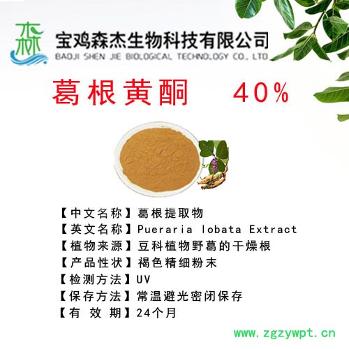 森杰生物  葛根黄酮  40%   葛根提取物  植物提取物图3
