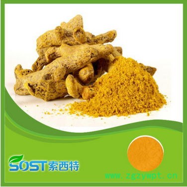 西安索西特 姜黄图3
