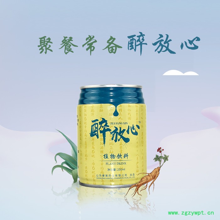 醉放心解酒饮料招商 葛根解酒饮料代工 易拉罐饮料oem图6