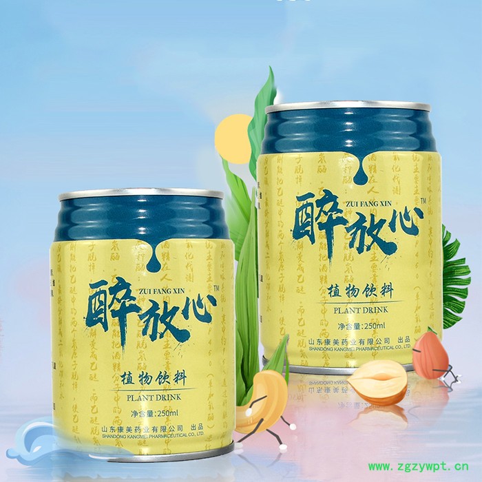 醉放心解酒饮料招商 葛根解酒饮料代工 易拉罐饮料oem图5