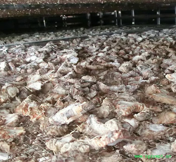 砂姜烘干机 姜黄空气能烘干设备 金凯6P空气能烘干整体机图2