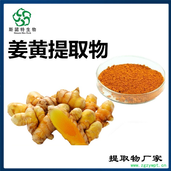 斯诺特 姜黄浓缩粉 姜黄提取物 食品原料厂家图4