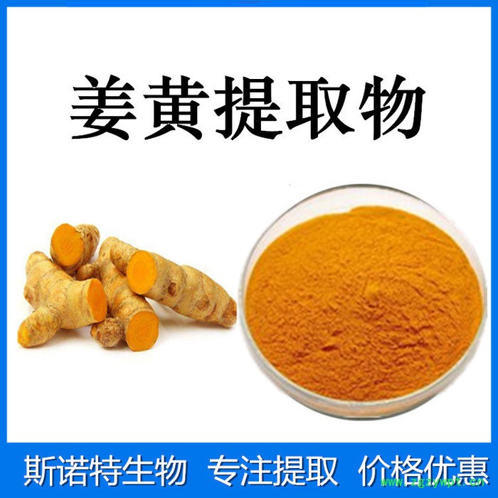 斯诺特生物 姜黄提取物 水溶性姜黄素 姜黄粉 食品原料图6