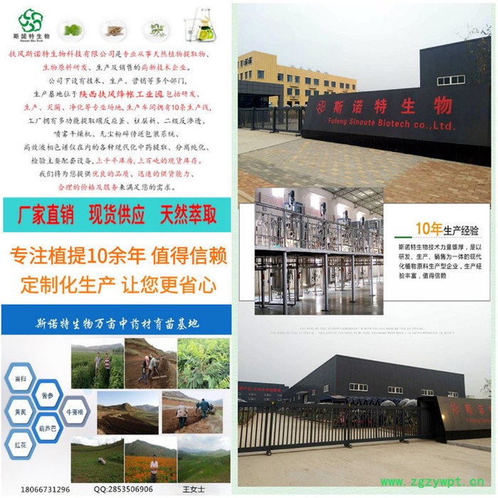 斯诺特  姜黄提取物 姜黄素  水溶性姜黄粉  现货供应图2