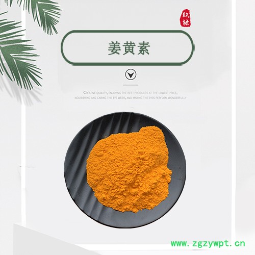 姜黄素99% 姜黄提取物  1千克起批 品质现货图4