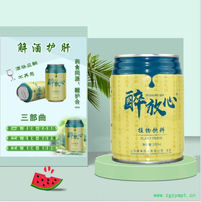姜黄葛根姜玉米肽饮料  液体饮品代加工 易拉罐饮料oem贴牌定制加工图6