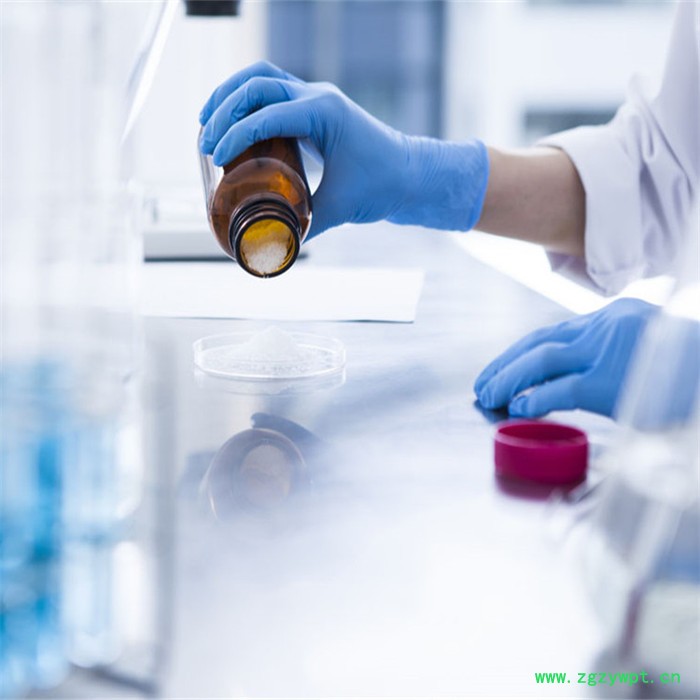 斯诺特生物 葛根异黄酮 98%葛根提取物 厂家供应 健康原料图2