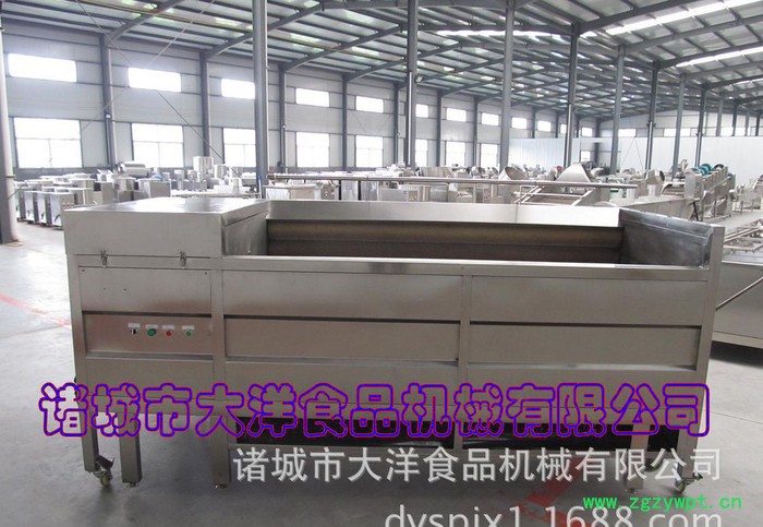 大洋牌毛刷式葛根清洗脱皮机 好用不贵直销图2