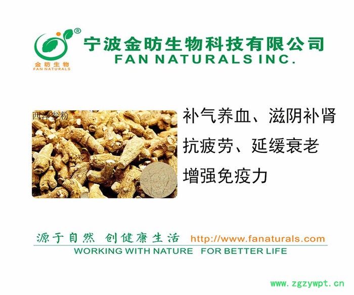 西洋参粉、花旗参粉、西洋参原粉 AMERICAN GINSENG EXTRACT植物原药材图2