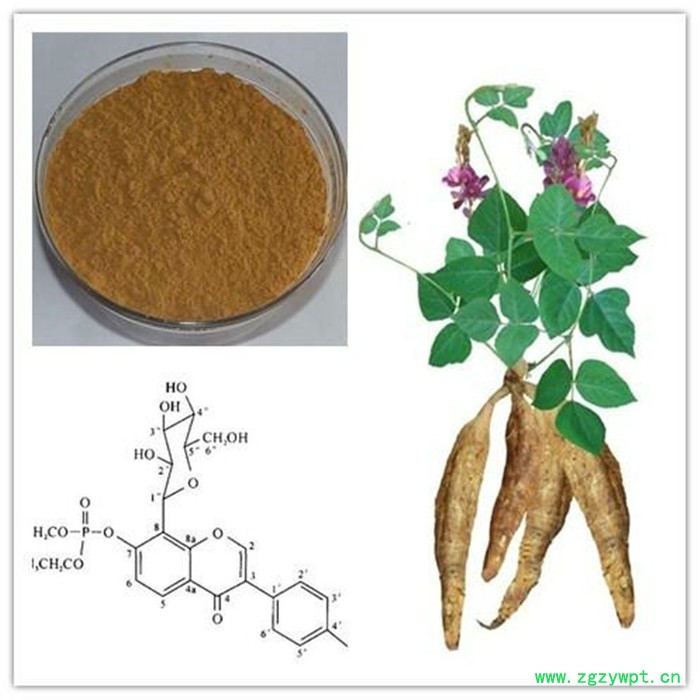 香草生物 葛根提取物厂家 葛根粉价格 葛根黄酮40% 批发价图8