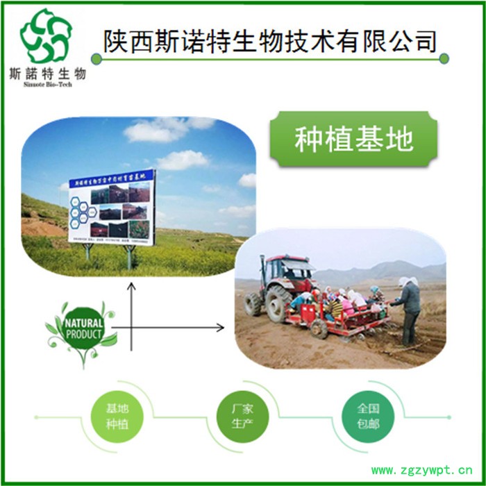 艳紫铆提取物 10:1 红野葛根提取物 蒲公英提取物图4