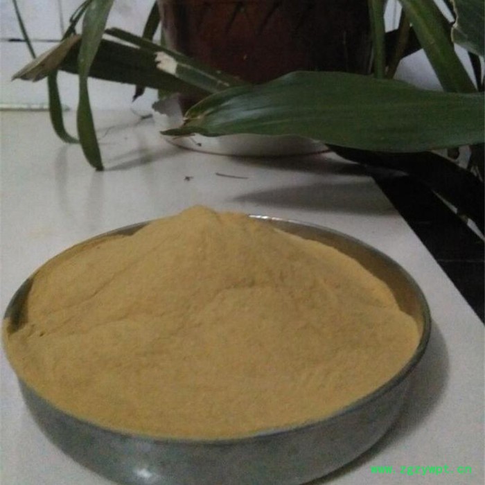 广晔 莪术粉 莪术提取物 专业植物提取莪术粉 山姜黄提取物图2