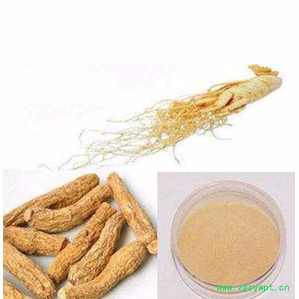 【质量保障】康都  西洋参  西洋参提取物   西洋参厂家 价格仅展示 电话详询 西洋参提取物图3