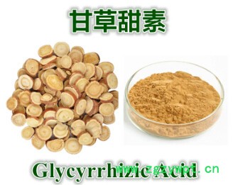 姜黄素    姜黄提取物 95% 姜黄粉   姜黄浓缩粉    斯诺特厂家图4